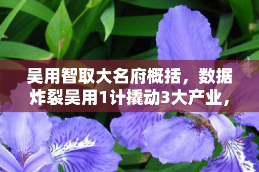 吴用智取大名府概括，数据炸裂吴用1计撬动3大产业，99%玩家没发现的财富密码竟藏在这！