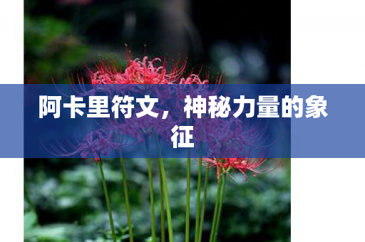 神秘力量的象征图片