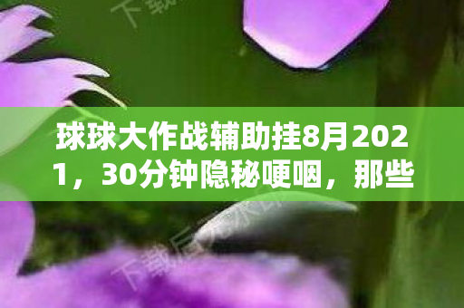 球球大作战辅助挂8月2021,30分钟隐秘哽咽,那些年我们藏在球球里的青春 球球大作战辅助挂8月2021,30分钟隐秘哽咽,那些年我们藏在球球里的青春