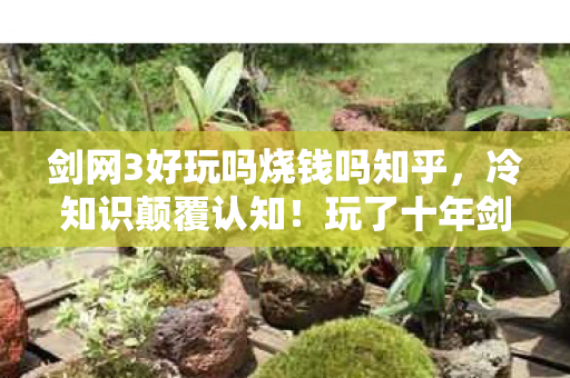 剑网3好玩吗烧钱吗知乎,冷知识颠覆认知!玩了十年剑网3,我竟目瞪口呆发现…… 剑网3好玩吗烧钱吗知乎,冷知识颠覆认知!玩了十年剑网3,我竟目瞪口呆发现……