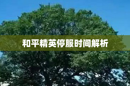 和平精英停服时间解析图片