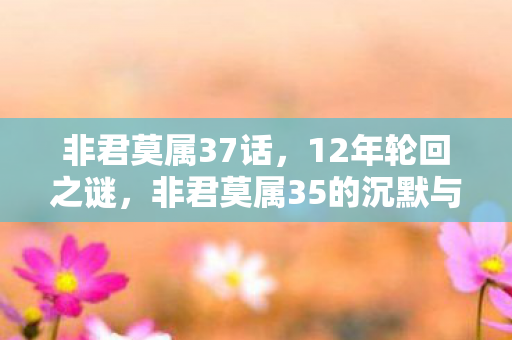 非君莫属37话,12年轮回之谜,非君莫属35的沉默与泪目 非君莫属37话,12年轮回之谜,非君莫属35的沉默与泪目