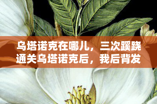 乌塔诺克在哪儿,三次蹊跷通关乌塔诺克后,我后背发凉发现惊天秘密 乌塔诺克在哪儿,三次蹊跷通关乌塔诺克后,我后背发凉发现惊天秘密