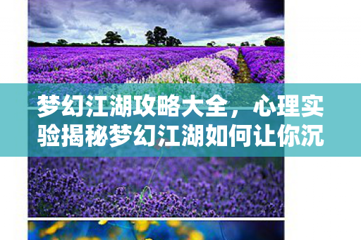 梦幻江湖攻略大全,心理实验揭秘梦幻江湖如何让你沉迷?细思极恐的多巴胺陷阱 梦幻江湖攻略大全,心理实验揭秘梦幻江湖如何让你沉迷?细思极恐的多巴胺陷阱