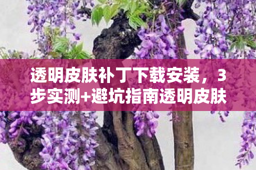 透明皮肤补丁下载安装,3步实测+避坑指南透明皮肤补丁下载心得,这5个坑千万别踩! 透明皮肤补丁下载安装,3步实测+避坑指南透明皮肤补丁下载心得,这5个坑千万别踩!