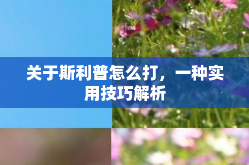 关于斯利普怎么打图片