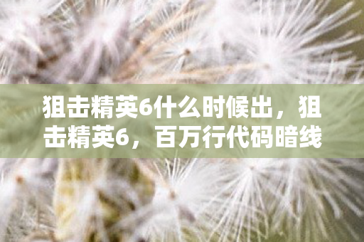 狙击精英6什么时候出,狙击精英6,百万行代码暗线织就,玩家每枪都让AI头皮发麻 狙击精英6什么时候出,狙击精英6,百万行代码暗线织就,玩家每枪都让AI头皮发麻