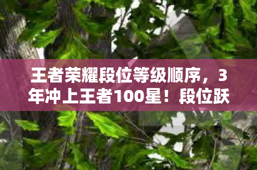 王者荣耀段位等级顺序,3年冲上王者100星!段位跃迁心得+99%玩家踩过的坑避雷指南 王者荣耀段位等级顺序,3年冲上王者100星!段位跃迁心得+99%玩家踩过的坑避雷指南
