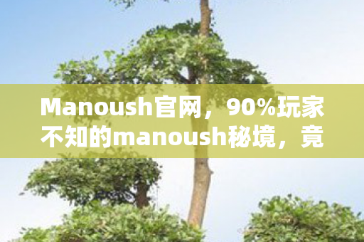 电信客服电话号码,满级神话与负分人生,电信sf999里我是王,现实废墟中我是谁? 电信客服电话号码,满级神话与负分人生,电信sf999里我是王,现实废墟中我是谁?
