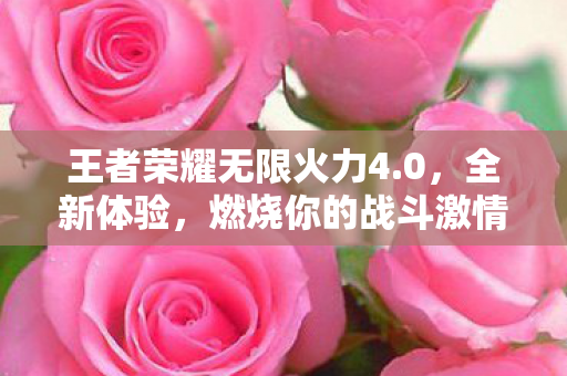王者荣耀无限火力4图片