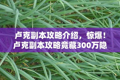 vsd1si,37名玩家亲历!VSD1S外挂疑云大起底,老炮,这波真绷不住了! vsd1si,37名玩家亲历!VSD1S外挂疑云大起底,老炮,这波真绷不住了!