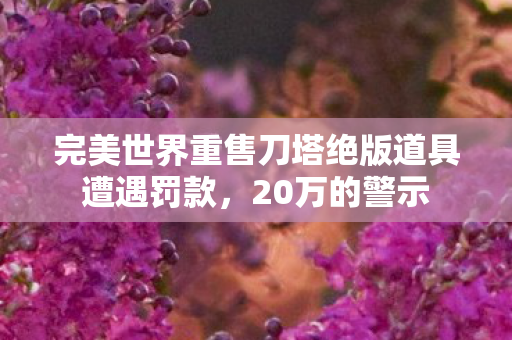 完美世界重售刀塔绝版道具遭遇罚款图片