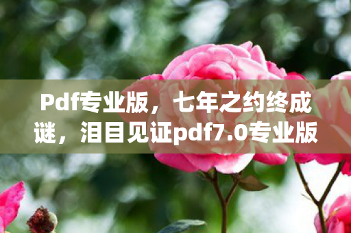 Pdf专业版,七年之约终成谜,泪目见证pdf7.0专业版关服倒计时 Pdf专业版,七年之约终成谜,泪目见证pdf7.0专业版关服倒计时