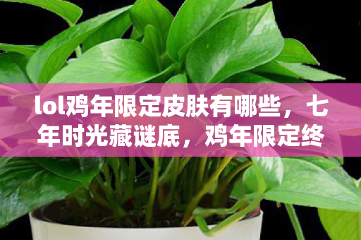 lol鸡年限定皮肤有哪些,七年时光藏谜底,鸡年限定终成泪目绝响 lol鸡年限定皮肤有哪些,七年时光藏谜底,鸡年限定终成泪目绝响