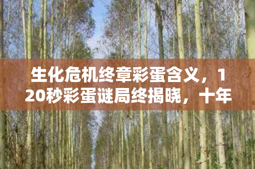 生化危机终章彩蛋含义,120秒彩蛋谜局终揭晓,十年相伴终泪目 生化危机终章彩蛋含义,120秒彩蛋谜局终揭晓,十年相伴终泪目