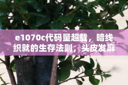 e1070c代码量超载,暗线织就的生存法则,头皮发麻的数字人生 e1070c代码量超载,暗线织就的生存法则,头皮发麻的数字人生
