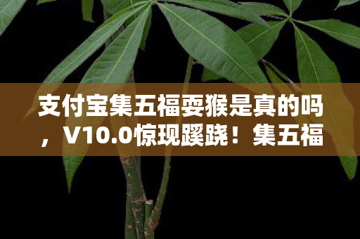 支付宝集五福耍猴是真的吗,V10.0惊现蹊跷!集五福十年,从全民狂欢到被猴耍的唏嘘 支付宝集五福耍猴是真的吗,V10.0惊现蹊跷!集五福十年,从全民狂欢到被猴耍的唏嘘