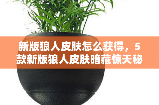 新版狼人皮肤怎么获得,5款新版狼人皮肤暗藏惊天秘密!老玩家亲历揭秘真相 新版狼人皮肤怎么获得,5款新版狼人皮肤暗藏惊天秘密!老玩家亲历揭秘真相