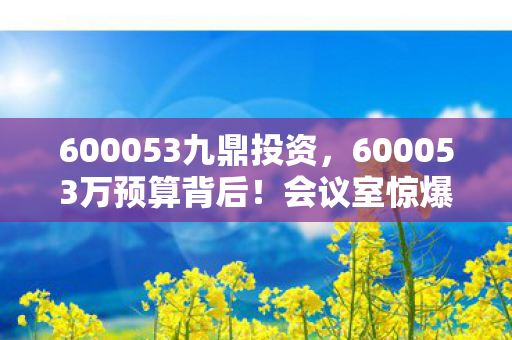 600053九鼎投资,600053万预算背后!会议室惊爆隐情,结果让人吓一跳! 600053九鼎投资,600053万预算背后!会议室惊爆隐情,结果让人吓一跳!