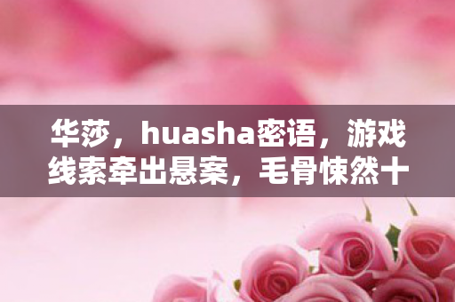 华莎,huasha密语,游戏线索牵出悬案,毛骨悚然十年困局 华莎,huasha密语,游戏线索牵出悬案,毛骨悚然十年困局