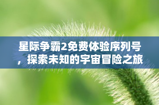 星际争霸2免费体验序列号图片
