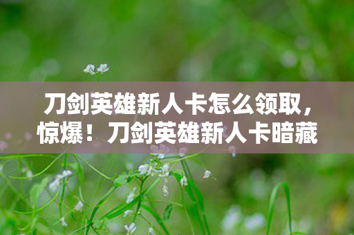 刀剑英雄新人卡怎么领取,惊爆!刀剑英雄新人卡暗藏99%玩家不知的3大逆天福利? 刀剑英雄新人卡怎么领取,惊爆!刀剑英雄新人卡暗藏99%玩家不知的3大逆天福利?