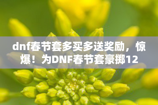 dnf春节套多买多送奖励,惊爆!为DNF春节套豪掷12万,我亲手拆家竟因这多买多送! dnf春节套多买多送奖励,惊爆!为DNF春节套豪掷12万,我亲手拆家竟因这多买多送!
