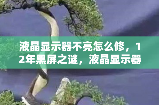 液晶显示器不亮怎么修,12年黑屏之谜,液晶显示器不亮背后的游戏史诗与泪目坚守 液晶显示器不亮怎么修,12年黑屏之谜,液晶显示器不亮背后的游戏史诗与泪目坚守