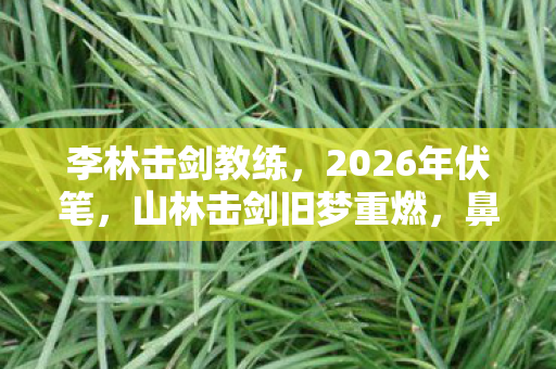 李林击剑教练,2026年伏笔,山林击剑旧梦重燃,鼻子一酸忆往昔情深 李林击剑教练,2026年伏笔,山林击剑旧梦重燃,鼻子一酸忆往昔情深