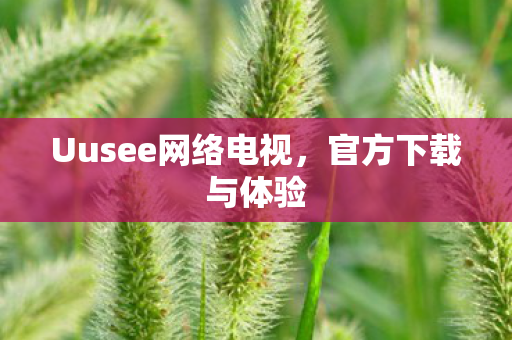 Uusee网络电视图片