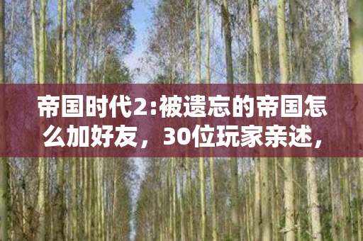 帝国时代2:被遗忘的帝国怎么加好友,30位玩家亲述,帝国时代2新DLC隐藏彩蛋竟让大神集体绷不住? 帝国时代2:被遗忘的帝国怎么加好友,30位玩家亲述,帝国时代2新DLC隐藏彩蛋竟让大神集体绷不住?