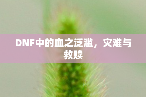 DNF中的血之泛滥图片