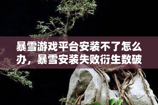 暴雪游戏平台安装不了怎么办,暴雪安装失败衍生数破圈!败家玩家用周边堆出意想不到人生 暴雪游戏平台安装不了怎么办,暴雪安装失败衍生数破圈!败家玩家用周边堆出意想不到人生