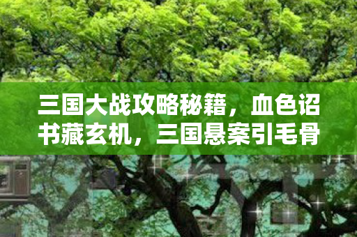 三国大战攻略秘籍,血色诏书藏玄机,三国悬案引毛骨悚然十年困局 三国大战攻略秘籍,血色诏书藏玄机,三国悬案引毛骨悚然十年困局
