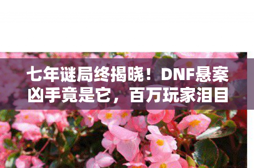 七年谜局终揭晓!DNF悬案凶手竟是它,百万玩家泪目谢幕 七年谜局终揭晓!DNF悬案凶手竟是它,百万玩家泪目谢幕