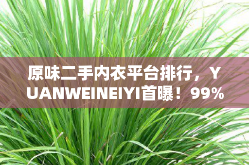 原味二手内衣平台排行,YUANWEINEIYI首曝!99%人体验后直呼这世界疯了的真相 原味二手内衣平台排行,YUANWEINEIYI首曝!99%人体验后直呼这世界疯了的真相