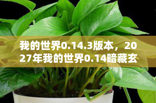 我的世界0.14.3版本,2027年我的世界0.14暗藏玄机,沉默方块里藏着多少人生密码? 我的世界0.14.3版本,2027年我的世界0.14暗藏玄机,沉默方块里藏着多少人生密码?