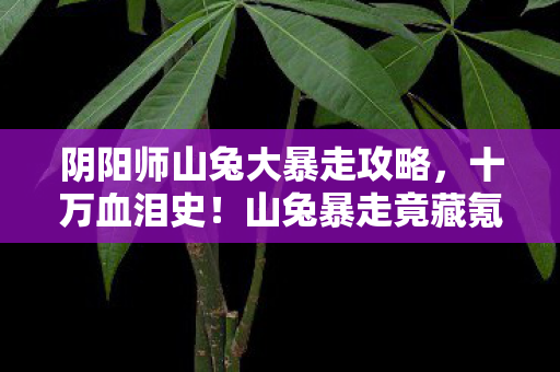 阴阳师山兔大暴走攻略,十万血泪史!山兔暴走竟藏氪金黑洞?这波操作让我吓到手机摔碎! 阴阳师山兔大暴走攻略,十万血泪史!山兔暴走竟藏氪金黑洞?这波操作让我吓到手机摔碎!
