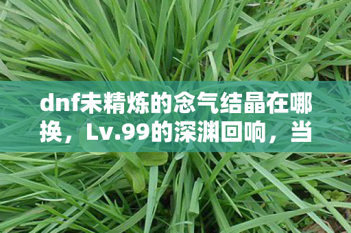 dnf未精炼的念气结晶在哪换,Lv.99的深渊回响,当未精炼的念气结晶照见Lv.0的人生 dnf未精炼的念气结晶在哪换,Lv.99的深渊回响,当未精炼的念气结晶照见Lv.0的人生