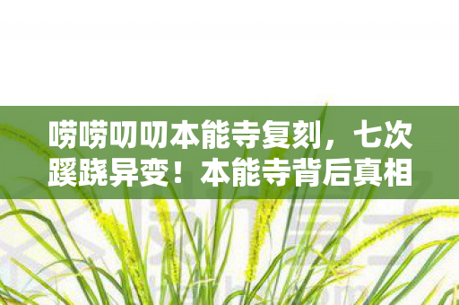 唠唠叨叨本能寺复刻,七次蹊跷异变!本能寺背后真相,让人后背发凉! 唠唠叨叨本能寺复刻,七次蹊跷异变!本能寺背后真相,让人后背发凉!