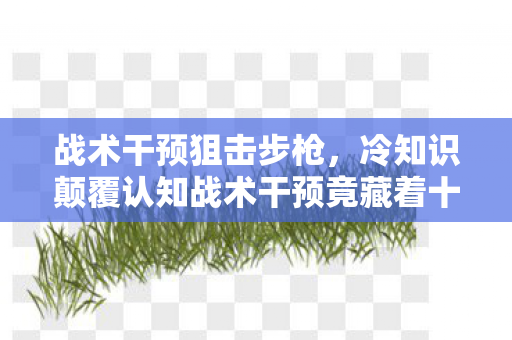 战术干预狙击步枪,冷知识颠覆认知战术干预竟藏着十年目瞪口呆的谎言! 战术干预狙击步枪,冷知识颠覆认知战术干预竟藏着十年目瞪口呆的谎言!