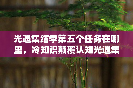 光遇集结季第五个任务在哪里，冷知识颠覆认知光遇集结季第五任务竟藏着目瞪口呆的时空悖论！
