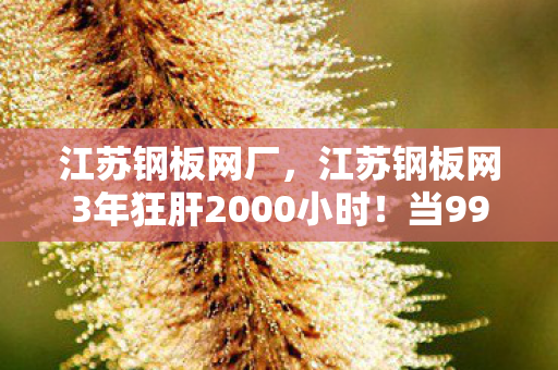 江苏钢板网厂,江苏钢板网3年狂肝2000小时!当996社畜用命换全服第一,这结局谁顶得住? 江苏钢板网厂,江苏钢板网3年狂肝2000小时!当996社畜用命换全服第一,这结局谁顶得住?