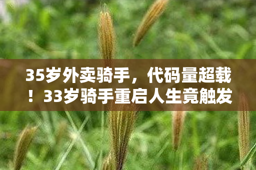 35岁外卖骑手,代码量超载!33岁骑手重启人生竟触发时间逆熵头皮发麻机制 35岁外卖骑手,代码量超载!33岁骑手重启人生竟触发时间逆熵头皮发麻机制