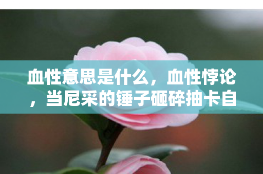 血性意思是什么，血性悖论，当尼采的锤子砸碎抽卡自由，谁在审判存在主义的囚徒？