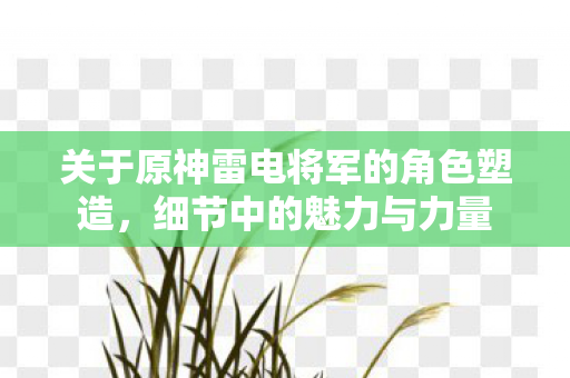 关于原神雷电将军的角色塑造图片