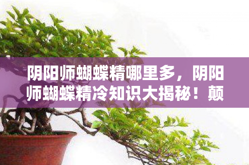 阴阳师蝴蝶精哪里多,阴阳师蝴蝶精冷知识大揭秘!颠覆认知,让你目瞪口呆! 阴阳师蝴蝶精哪里多,阴阳师蝴蝶精冷知识大揭秘!颠覆认知,让你目瞪口呆!
