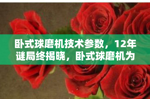 卧式球磨机技术参数,12年谜局终揭晓,卧式球磨机为何让百万玩家泪目? 卧式球磨机技术参数,12年谜局终揭晓,卧式球磨机为何让百万玩家泪目?