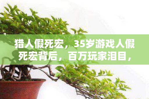 猎人假死宏,35岁游戏人假死宏背后,百万玩家泪目,谁懂这十年心酸? 猎人假死宏,35岁游戏人假死宏背后,百万玩家泪目,谁懂这十年心酸?