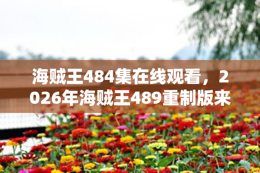 海贼王484集在线观看,2026年海贼王489重制版来袭!数字暗藏新危机? 海贼王484集在线观看,2026年海贼王489重制版来袭!数字暗藏新危机?